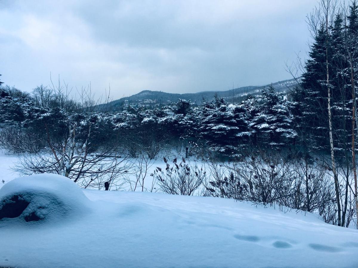 Le Boise Mont-Tremblant Leilighet Eksteriør bilde
